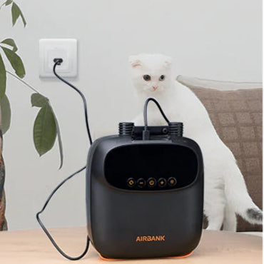 AIRBANK Electric Air Pump for SUPs, Wings & Kites